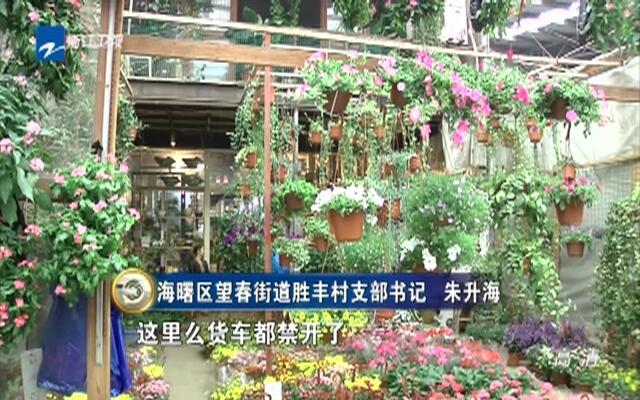 20151106《今日聚焦》:宁波海曙区--花鸟市场内存大量违建棚屋-新闻-中国蓝TV官方网站
