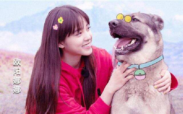 吃货欧阳娜娜上线