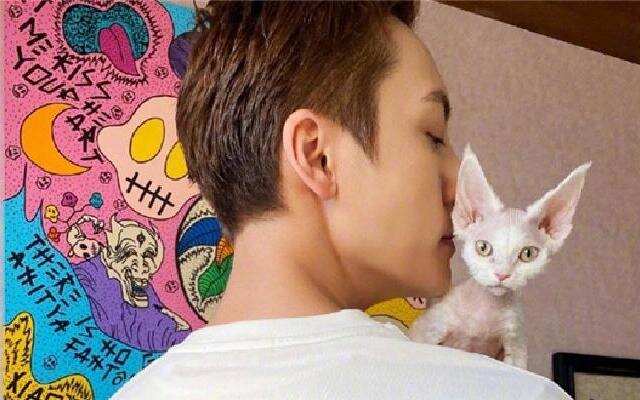 蓝朋友报到:陈伟霆结束隔离绿洲营业 抱猫咪侧颜出镜酷劲十足