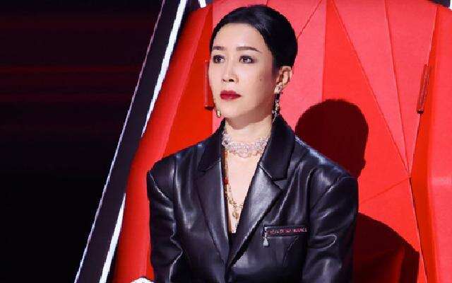 中国好声音2015那英 8_640_400.jpg