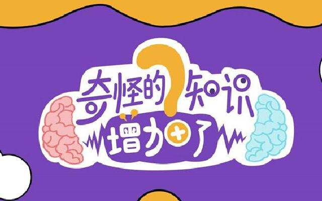 奇怪的知识增加了